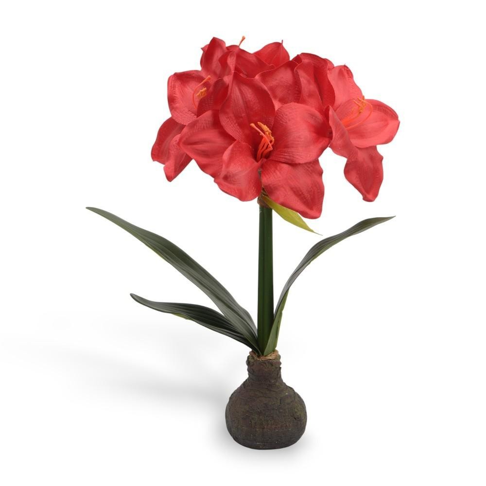 PIANTA AMARYLLIS RED 40CM